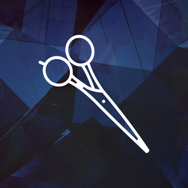 Hair shears for beard trim service